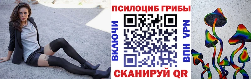 Галлюциногенные грибы Psilocybe  мега ссылка  Тобольск 
