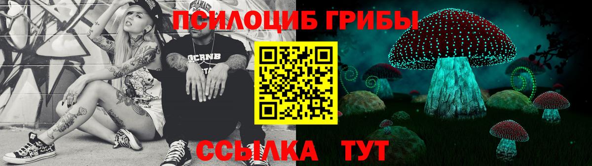 Тобольск  Псилоцибиновые грибы Psilocybe  наркошоп  Вход с VPN 